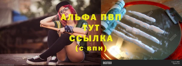 тгк Алзамай
