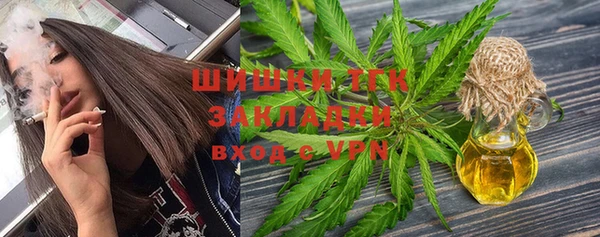 тгк Алзамай