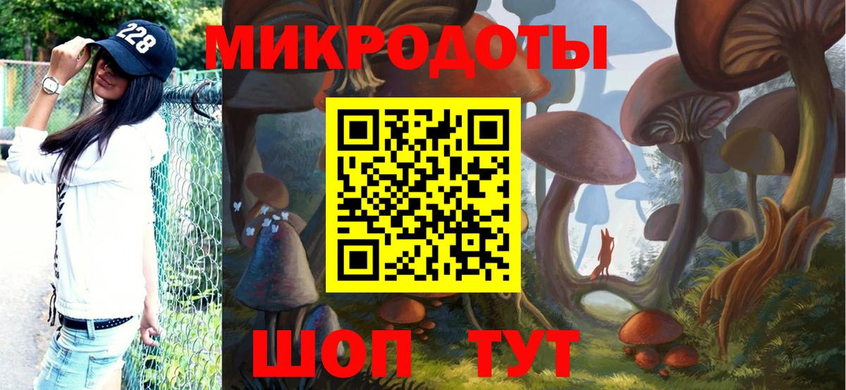 Псилоцибиновые грибы прущие грибы Алушта