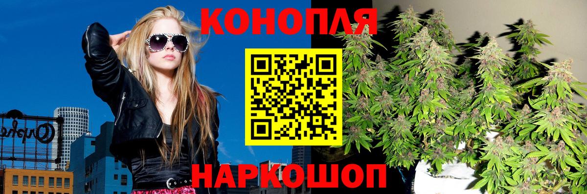 Каннабис конопля Алушта